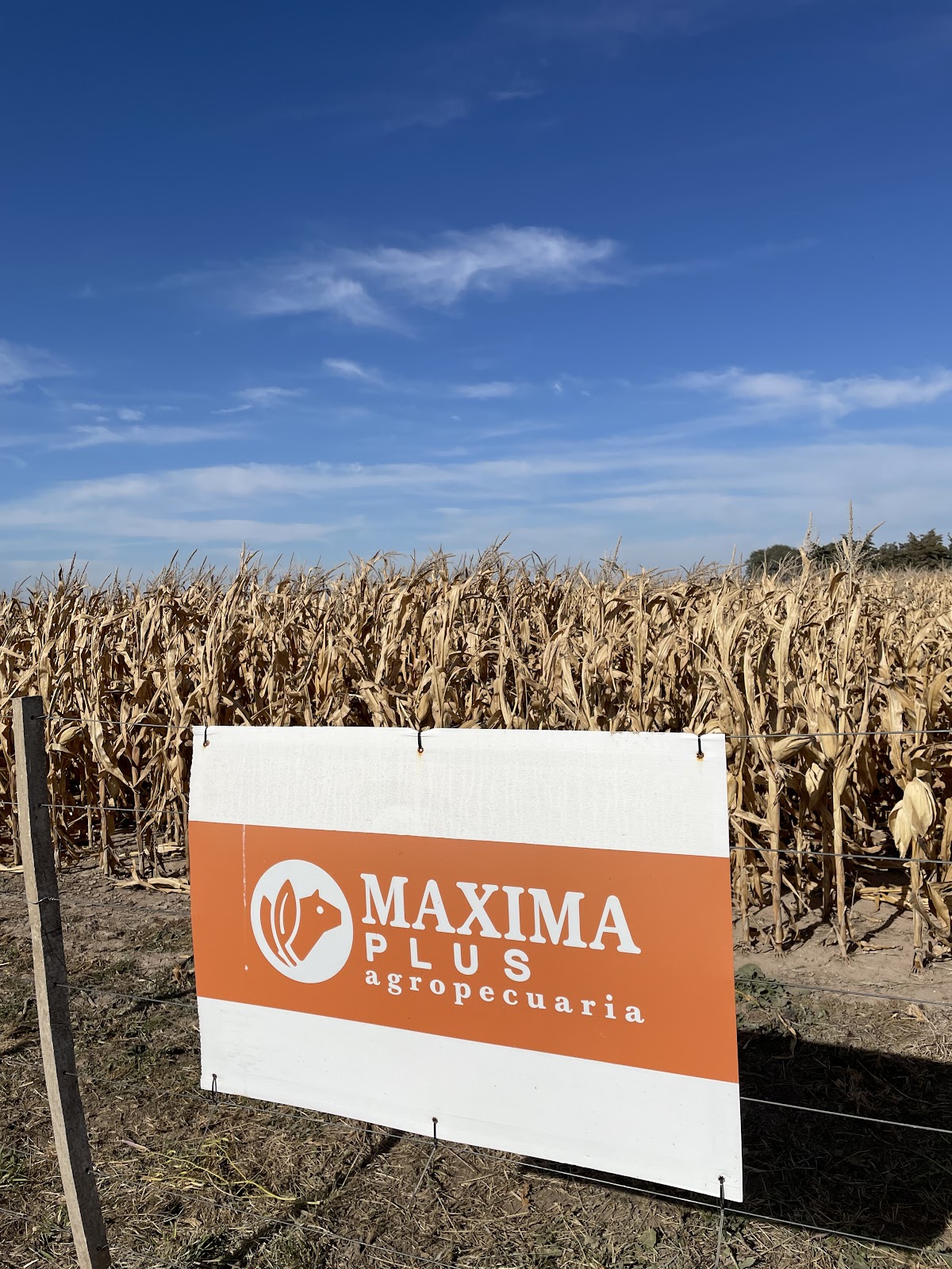 Máxima Plus Agropecuaria, foto 3