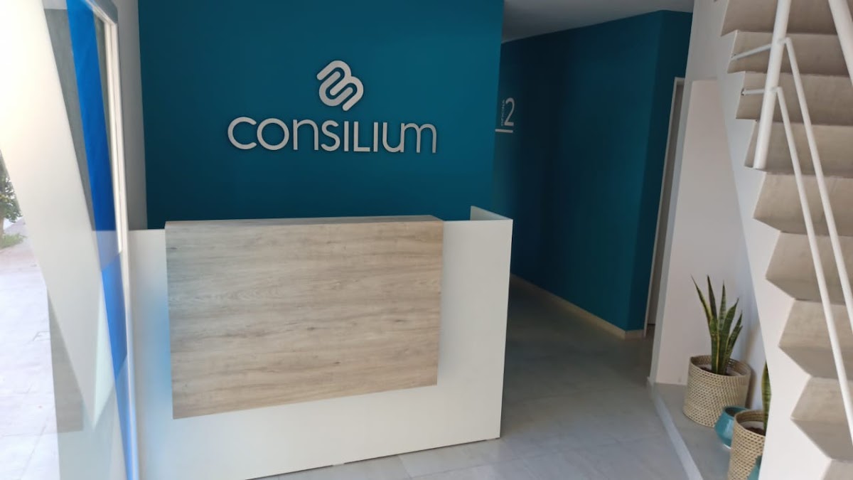 Consilium Consultora