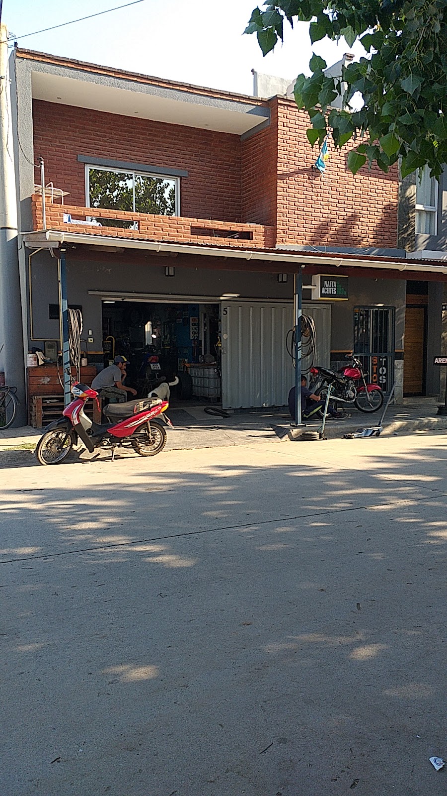 GOMERIA MG, foto 3