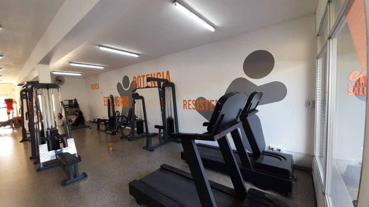 AMERICAN GYM