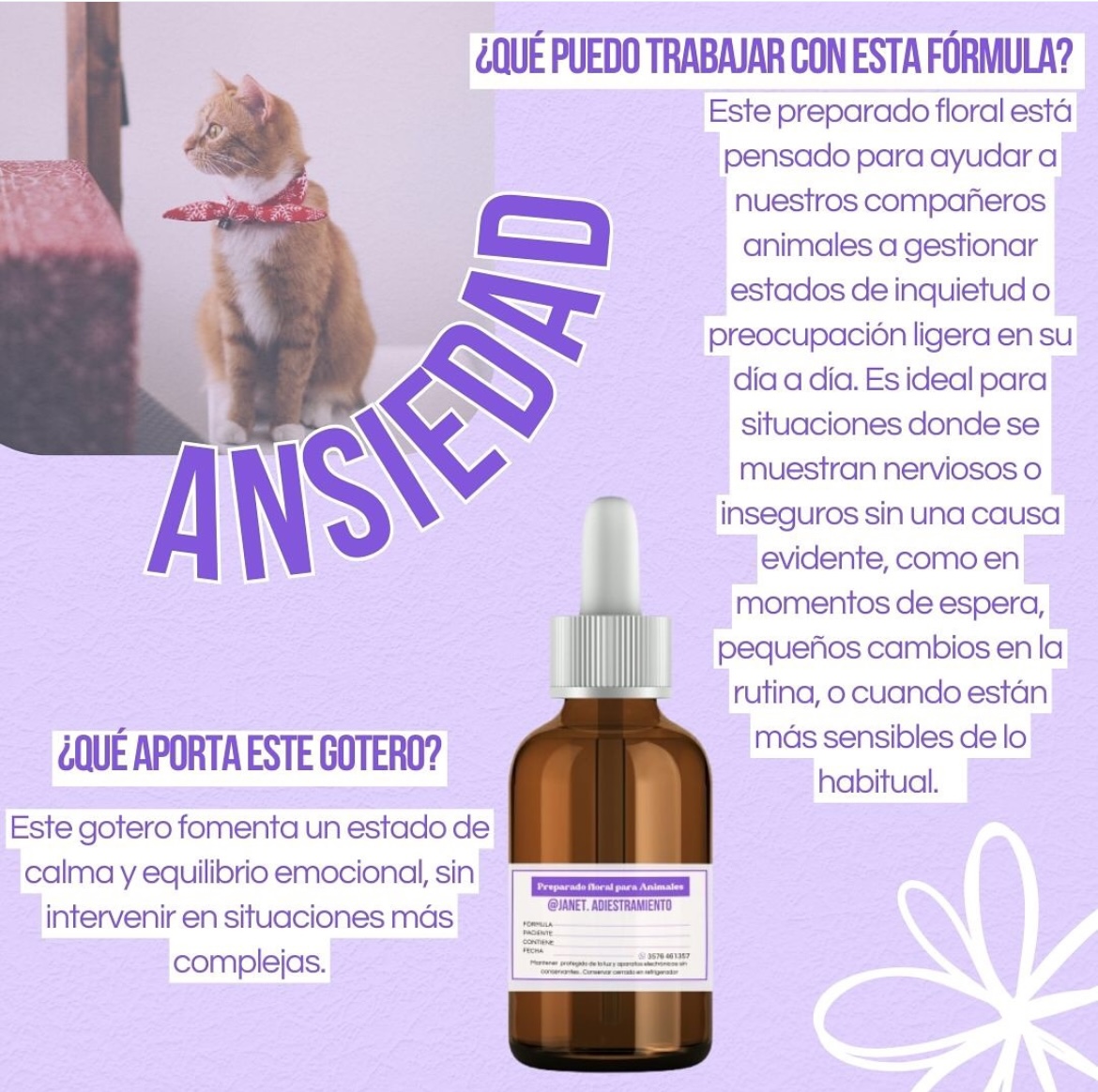 JANET@ADIESTRAMIENTO, foto 2