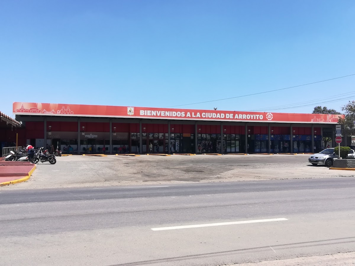 Fono Bus, foto 2