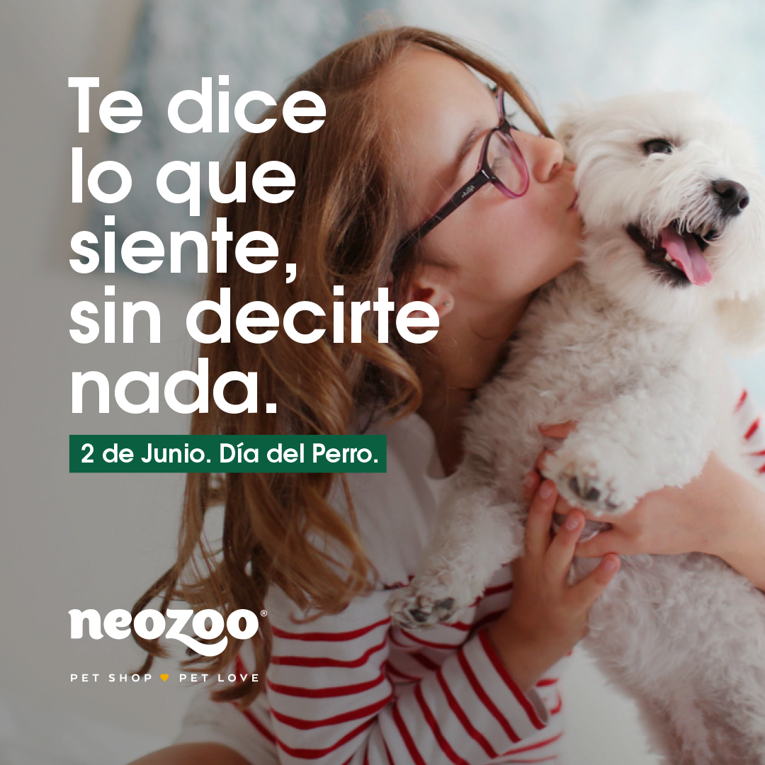 NeoZoo