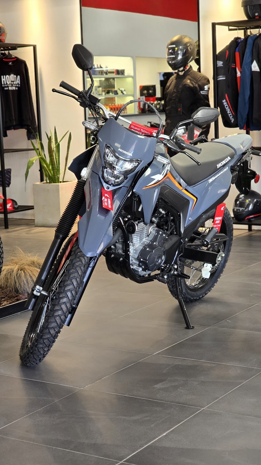 Navarro Motos, foto 2